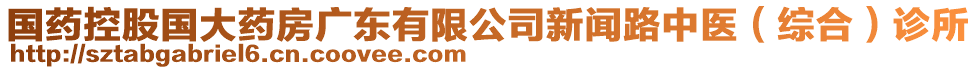 國藥控股國大藥房廣東有限公司新聞路中醫(yī)（綜合）診所