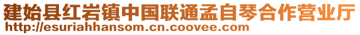 建始縣紅巖鎮(zhèn)中國聯(lián)通孟自琴合作營業(yè)廳