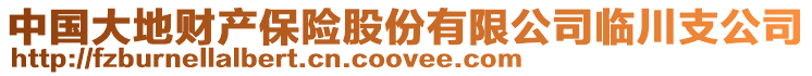 中國(guó)大地財(cái)產(chǎn)保險(xiǎn)股份有限公司臨川支公司