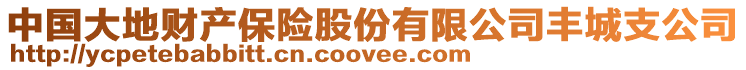 中國(guó)大地財(cái)產(chǎn)保險(xiǎn)股份有限公司豐城支公司