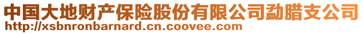 中國大地財產(chǎn)保險股份有限公司勐臘支公司