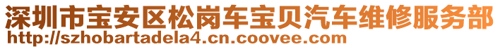 深圳市寶安區(qū)松崗車寶貝汽車維修服務部