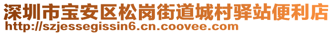 深圳市寶安區(qū)松崗街道城村驛站便利店