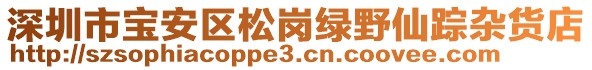 深圳市寶安區(qū)松崗綠野仙蹤雜貨店