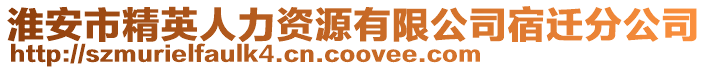 淮安市精英人力資源有限公司宿遷分公司