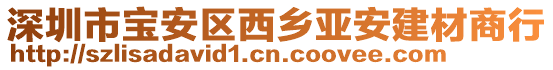 深圳市寶安區(qū)西鄉(xiāng)亞安建材商行