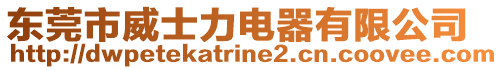 東莞市威士力電器有限公司