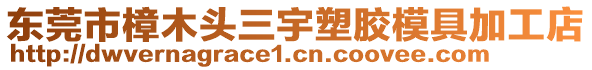 東莞市樟木頭三宇塑膠模具加工店