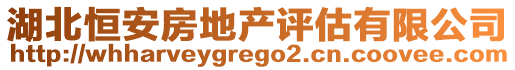 湖北恒安房地產(chǎn)評估有限公司