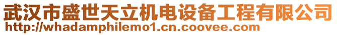 武漢市盛世天立機電設備工程有限公司