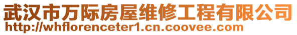 武漢市萬(wàn)際房屋維修工程有限公司