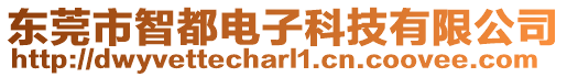 東莞市智都電子科技有限公司