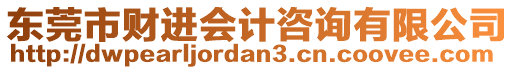 東莞市財(cái)進(jìn)會計(jì)咨詢有限公司