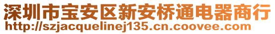 深圳市寶安區(qū)新安橋通電器商行