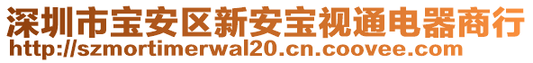 深圳市寶安區(qū)新安寶視通電器商行