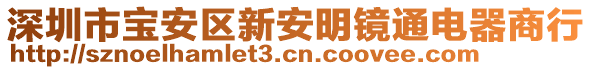 深圳市寶安區(qū)新安明鏡通電器商行