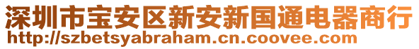 深圳市寶安區(qū)新安新國(guó)通電器商行