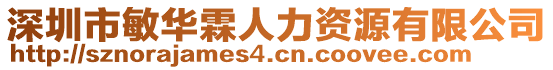 深圳市敏華霖人力資源有限公司