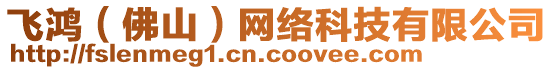 飛鴻（佛山）網(wǎng)絡(luò)科技有限公司