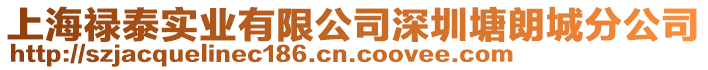上海祿泰實(shí)業(yè)有限公司深圳塘朗城分公司