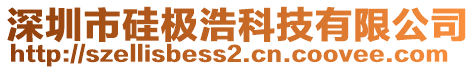 深圳市硅極浩科技有限公司