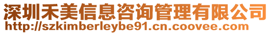 深圳禾美信息咨詢管理有限公司