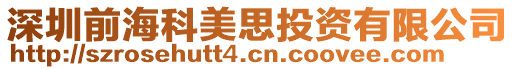 深圳前?？泼浪纪顿Y有限公司