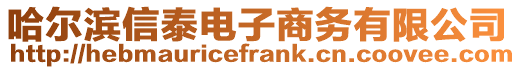 哈爾濱信泰電子商務(wù)有限公司