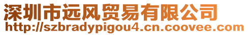 深圳市遠(yuǎn)風(fēng)貿(mào)易有限公司