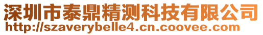 深圳市泰鼎精測科技有限公司