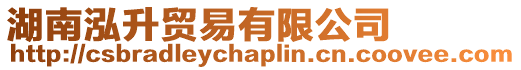 湖南泓升貿易有限公司