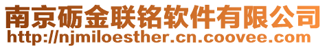 南京礪金聯(lián)銘軟件有限公司