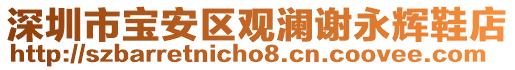 深圳市寶安區(qū)觀瀾謝永輝鞋店