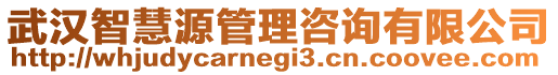 武漢智慧源管理咨詢有限公司
