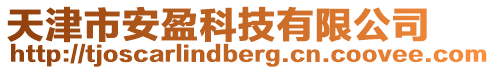 天津市安盈科技有限公司