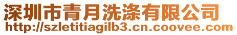 深圳市青月洗滌有限公司
