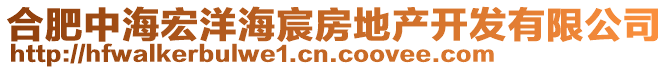 合肥中海宏洋海宸房地產開發(fā)有限公司