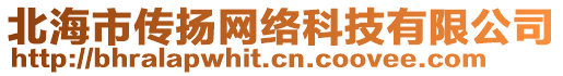 北海市傳揚(yáng)網(wǎng)絡(luò)科技有限公司