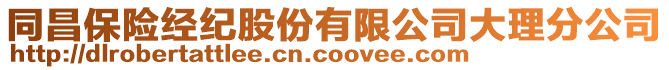 同昌保险经纪股份有限公司大理分公司