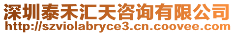 深圳泰禾匯天咨詢有限公司