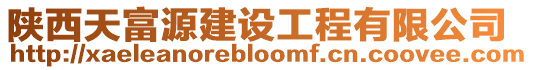 陜西天富源建設工程有限公司