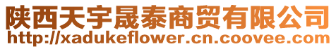 陜西天宇晟泰商貿有限公司