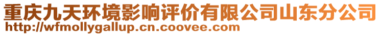 重慶九天環境影響評價有限公司山東分公司
