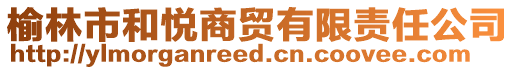 榆林市和悅商貿(mào)有限責(zé)任公司