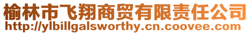 榆林市飛翔商貿有限責任公司
