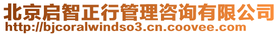 北京啟智正行管理咨詢有限公司