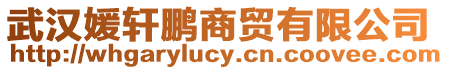 武漢媛軒鵬商貿有限公司