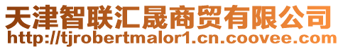 天津智聯(lián)匯晟商貿(mào)有限公司