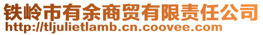 鐵嶺市有余商貿(mào)有限責(zé)任公司