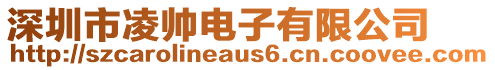 深圳市凌帥電子有限公司